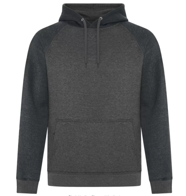 ESACTIVE® VINTAGE TWO TONE HOODED SWEATSHIRT. F2044 - Image 5