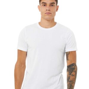 Bella & Canvas CVC Jersey Tee - 3001CVC