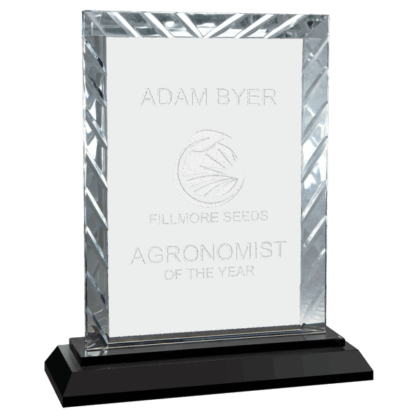 7" Rectangle Accent Glass on Black Base - ACG51 - Image 2